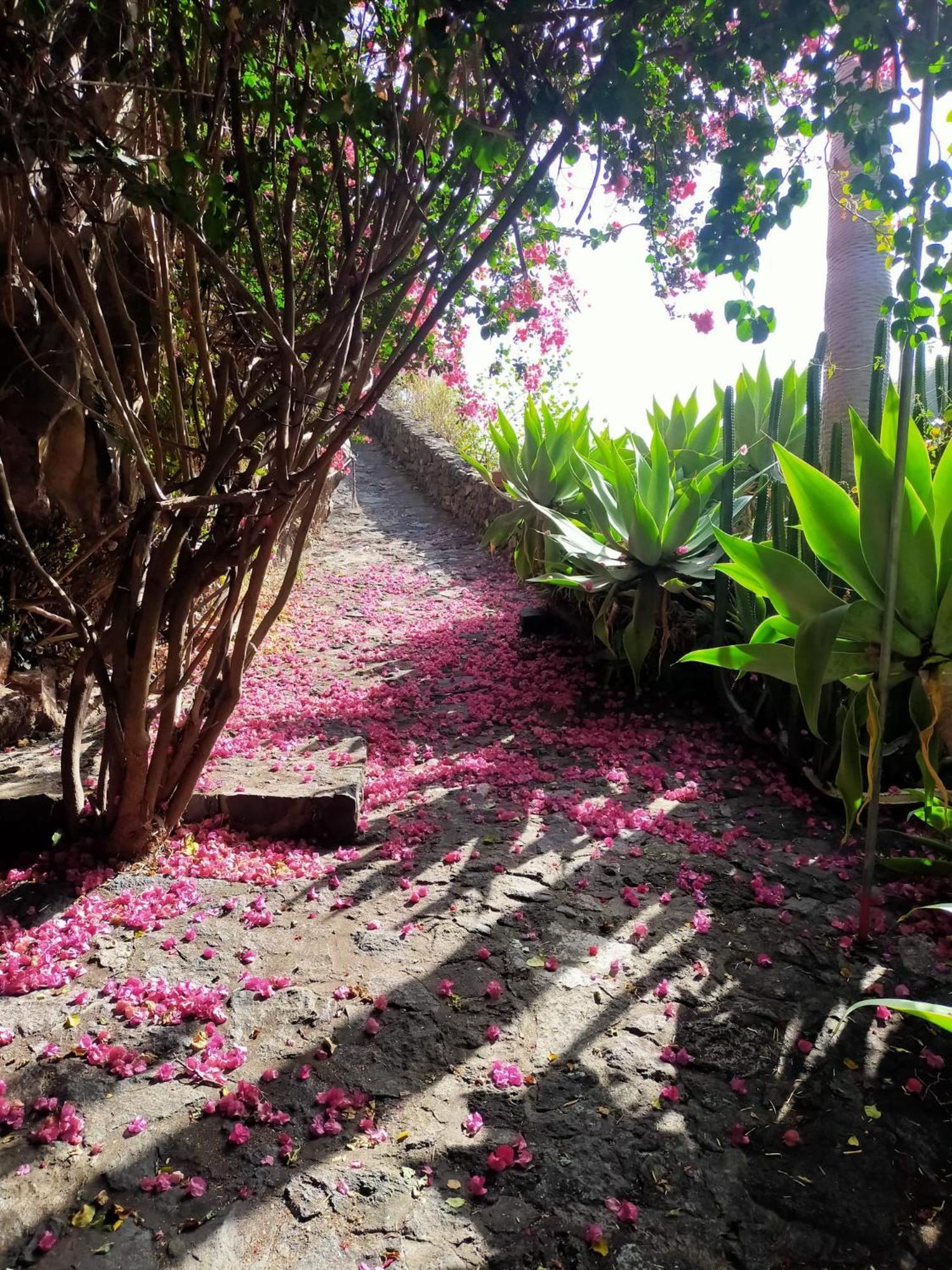 Molino Remanente Apartman Santa Cruz de la Palma Kültér fotó